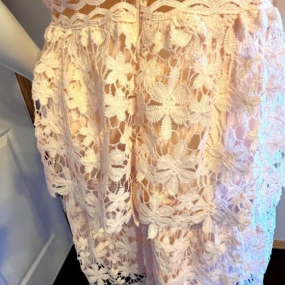 BooHoo Petal pink Embroidered Lace Dress Sz 14 Women's  NWT - Picture 9 of 10